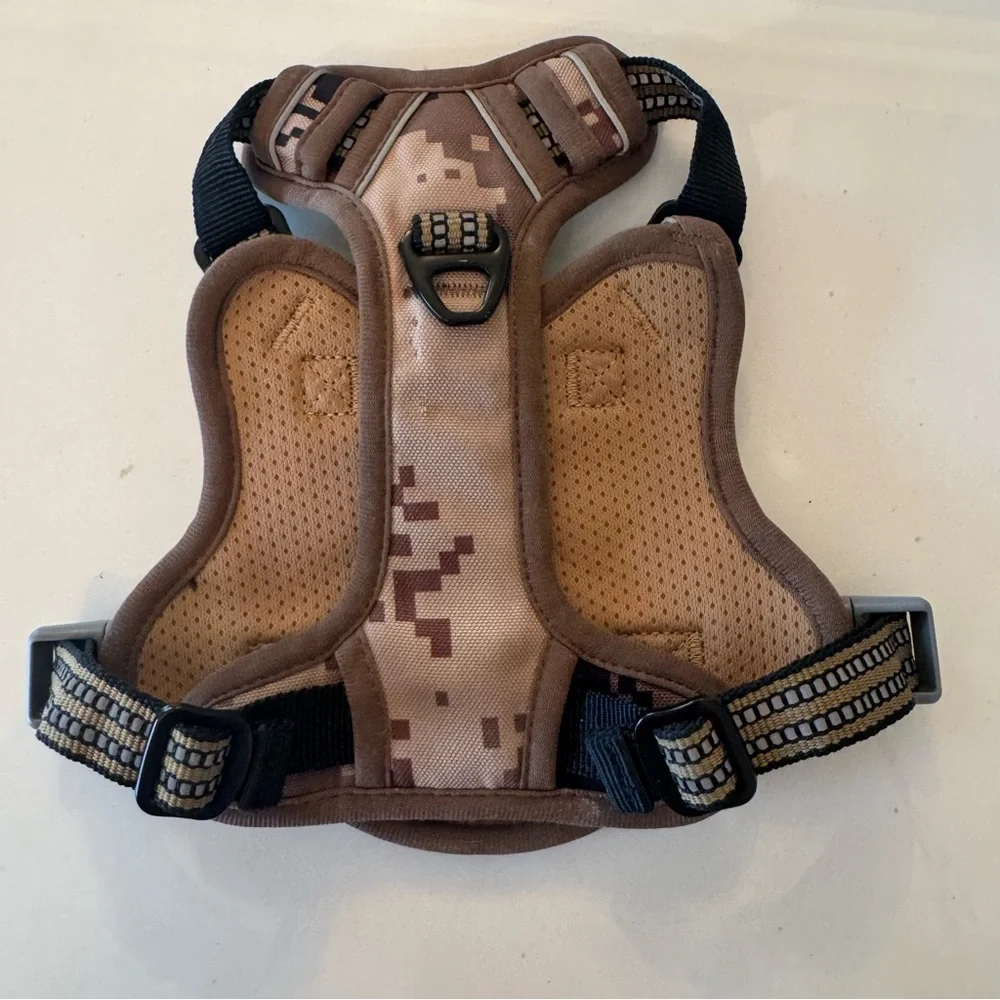 Bumbin xs dog